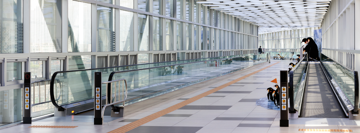 Série SM Moving Walk